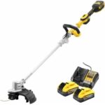 DeWALT DCMST561H2 recenze