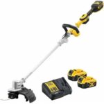 DeWALT DCMST561P2 recenze
