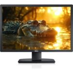 Dell U2412Mc recenze