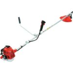 Echo SRM-222ES 24130256 recenze