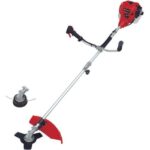 Einhell GC-BC 30/1 I AS 3436525 recenze