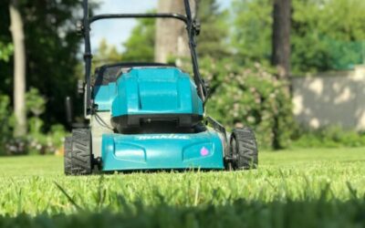 Nejlepší elektrické sekačky pro menší zahrady: test podzimu 2025