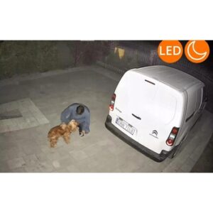 Fotografie Orllo Z7 Pro  recenzía