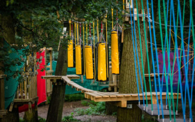 První návštěva lanového parku: co si vzít s sebou, aby si to užili i úplní začátečníci