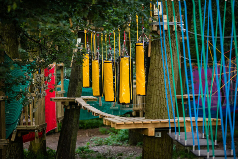 První návštěva lanového parku: co si vzít s sebou, aby si to užili i úplní začátečníci