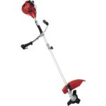 Einhell BG-BC 25 AS 3401953 recenze