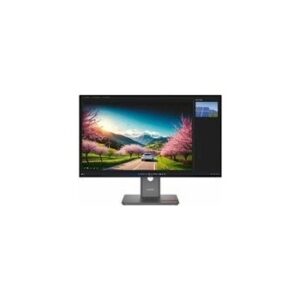 Fotografie Lenovo ThinkVision P32UD-40 64A8ZAT2EU  recenzía