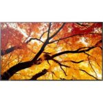Sharp M752 60006057 recenze