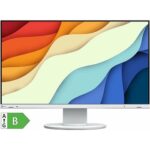 Eizo FlexScan EV2400R-WT recenze