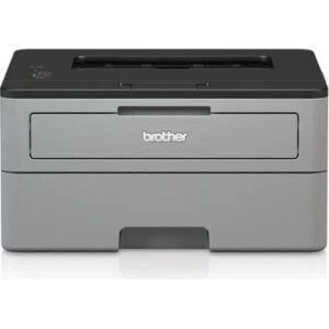 Fotografie Brother HL-L2312D recenzía