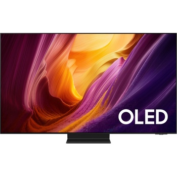 Obrázok Samsung QE55S95HFT hodnotenie